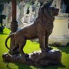 escultura-leao-alto-da-boa-vista-em-bronze-160cm-ebz695 -3-.jpg